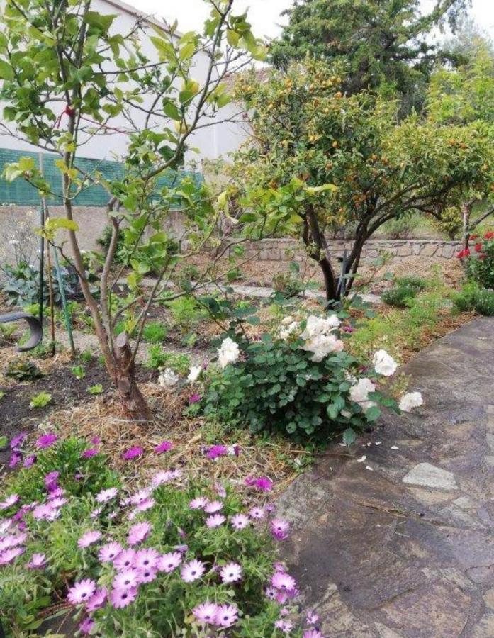 Casa Rossa Solenzara Apartment Sari-Solenzara Bagian luar foto